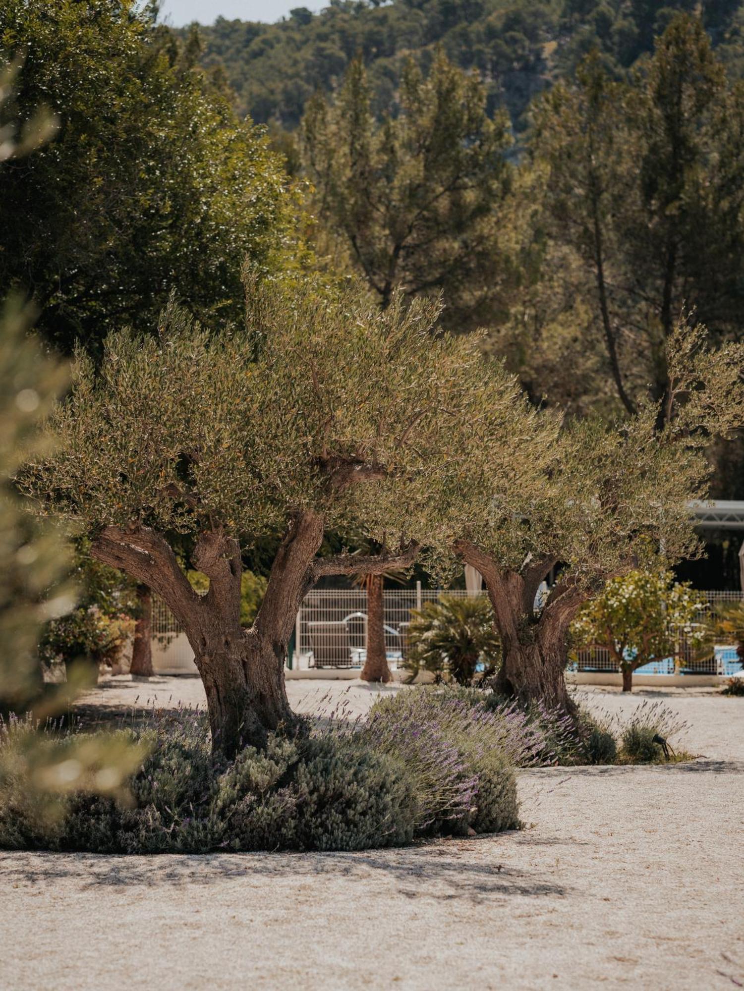 Scardona Park Luxury Accommodation Skradin Exterior photo